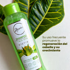 shampoo-aloe-vera